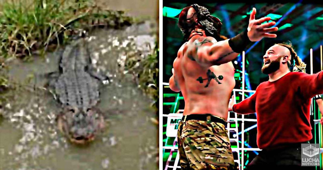 WWE usará cocodrílos de verdad en el Swap Fight de Extreme Rules