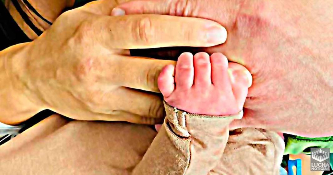 Daniel Bryan y Brie Bella celebran el nacimiento de su hijo