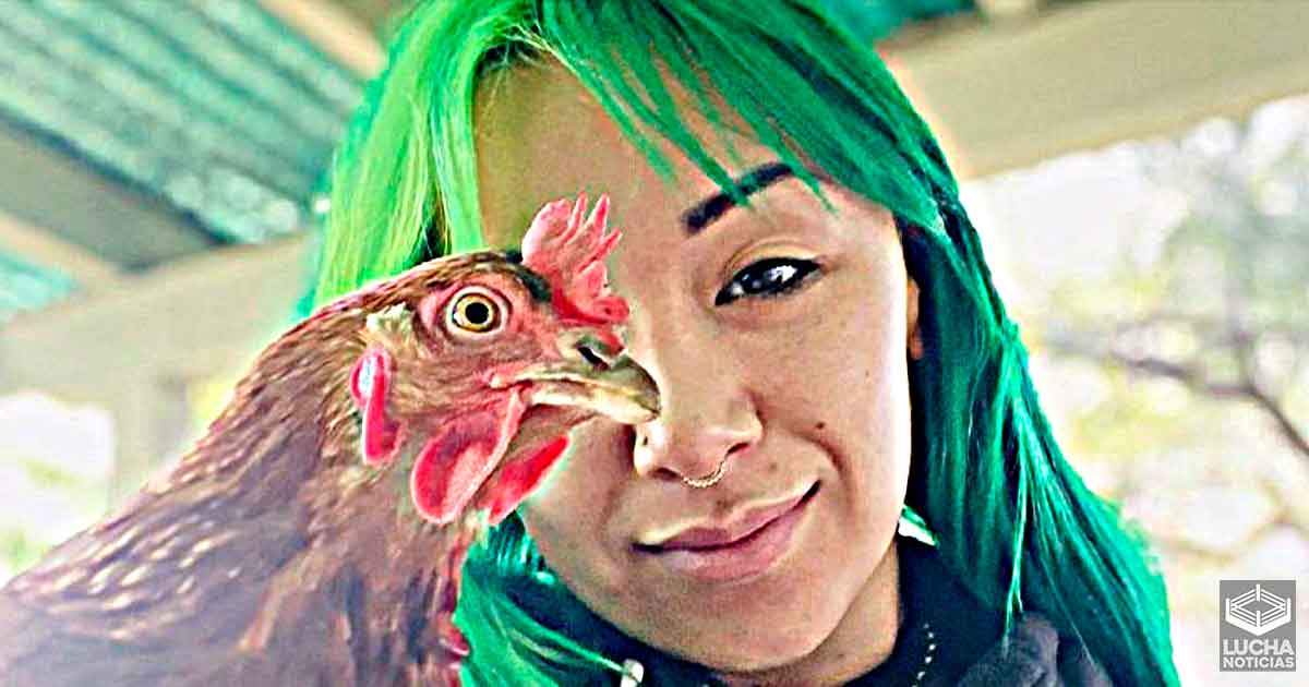 Se muere el pollo de Shotzi Blackheart - Lucha Noticias