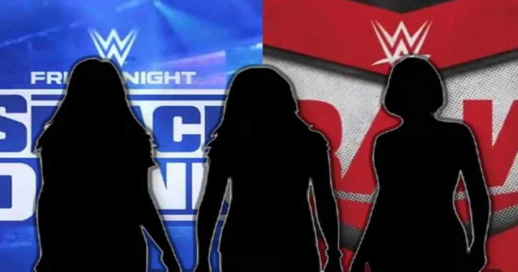 WWE cancela por completo los planes por una interesante agrupación femenina