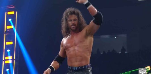 5 errores y accidentes de WWE Money in the Bank