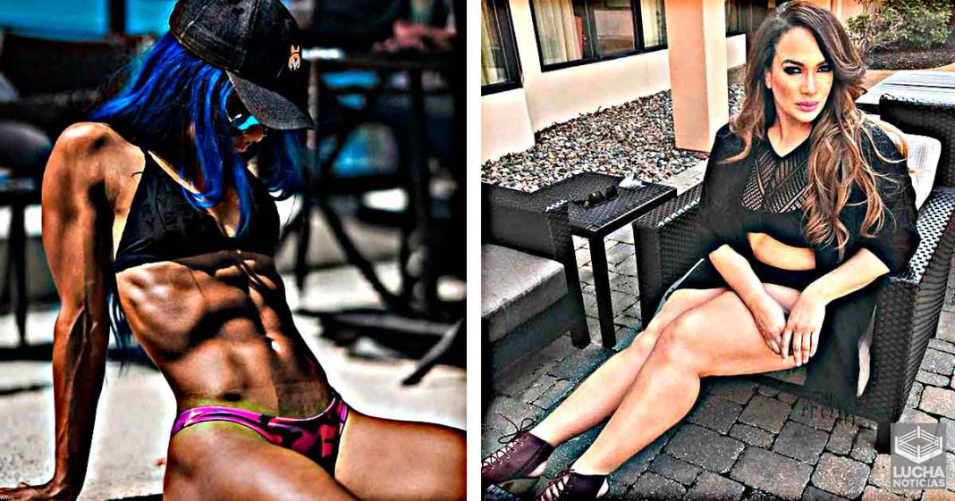 Sasha Banks, Mandy Rose, Nia Jax y más celebran el día nacional del bikini