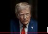 Donald Trump ya es accionista de TKO, empresa matriz de WWE y UFC Donald Trump, ahora accionista de TKO Group Holdings